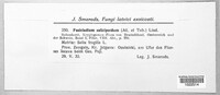 Image Associated With the Occurence